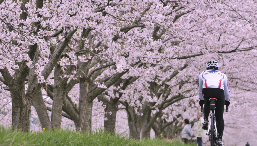 best-time-travel--to-japan-3