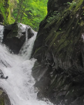 Nikko Canyoning & Waterfall Rappelling