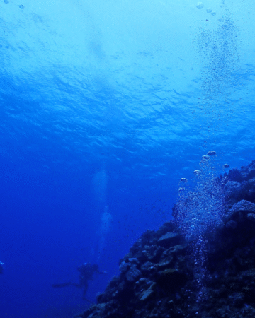 Blue Cave Snorkeling in Okinawa