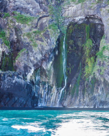 Whale Watching in Shiretoko