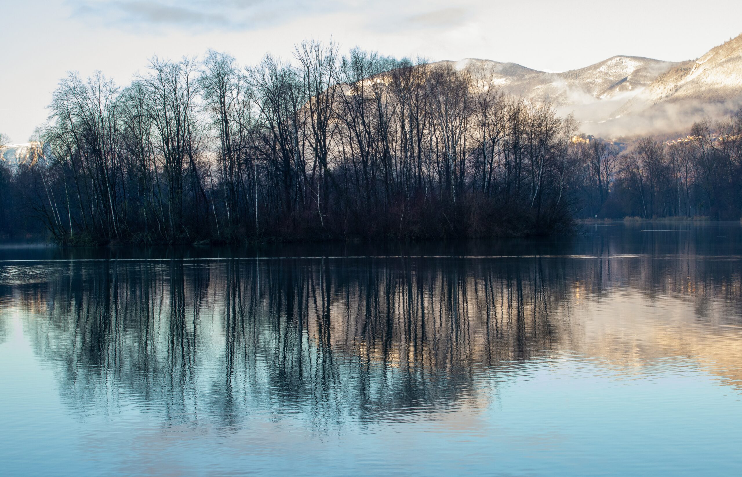 The Bounty of Toyama Bay: Where Mountains Meet the Sea