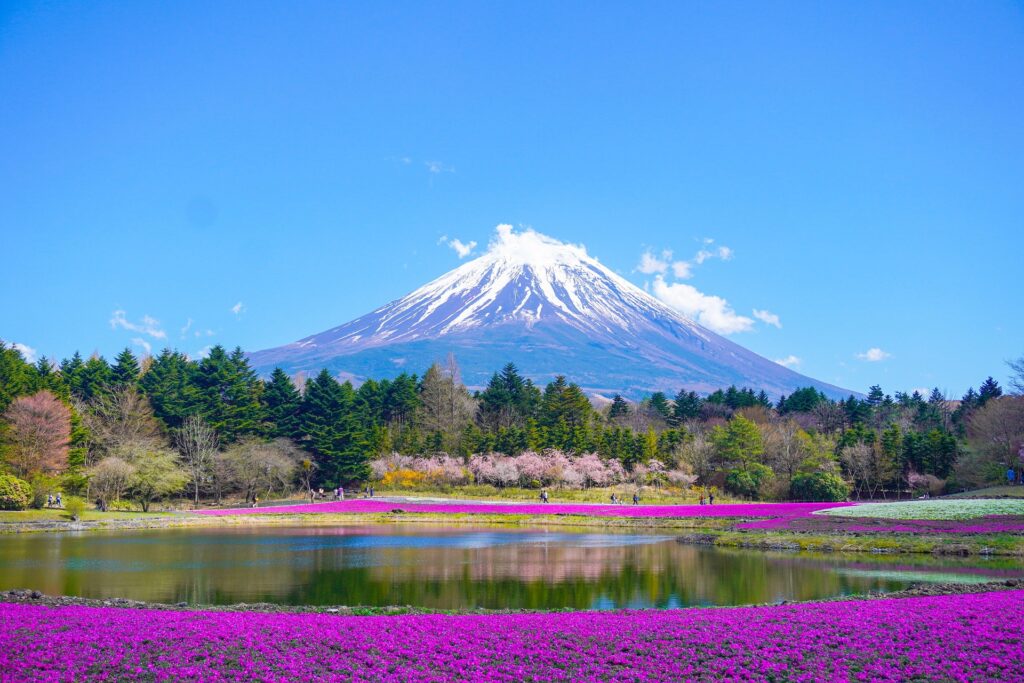 Proven 8-Day Japan Itinerary for Seniors | Comfortable & Accessible Private Japan Itinerary Proven 8-Day Japan Itinerary for Seniors | Comfortable & Accessible Private Japan Itinerary