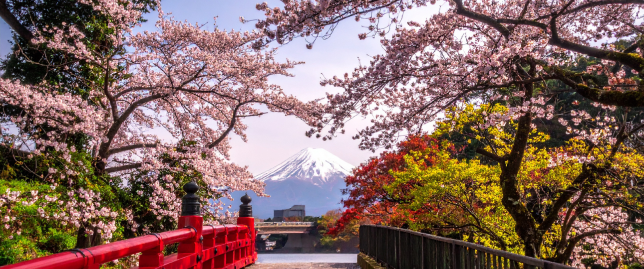 Japan itinerary 7 days route covering Tokyo, Mt. Fuji, Kyoto and Osaka