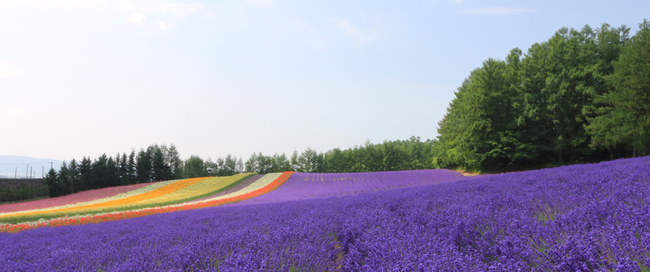 best time to travel Hokkaido