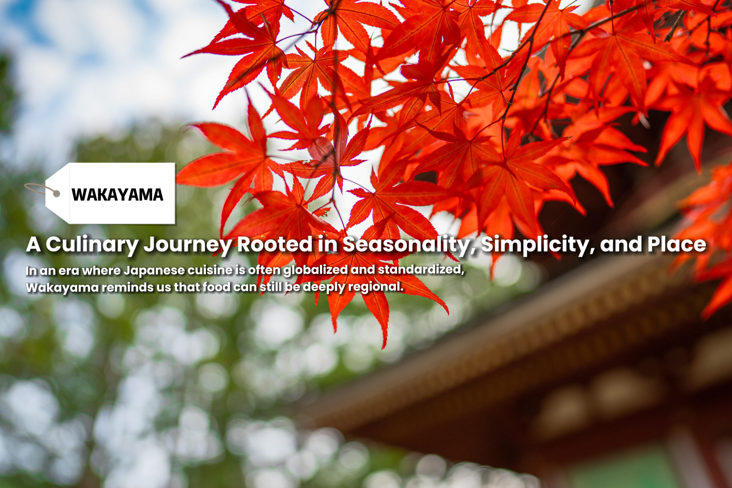 Eating with the Land: Discovering Wakayama Through Local Food Culture