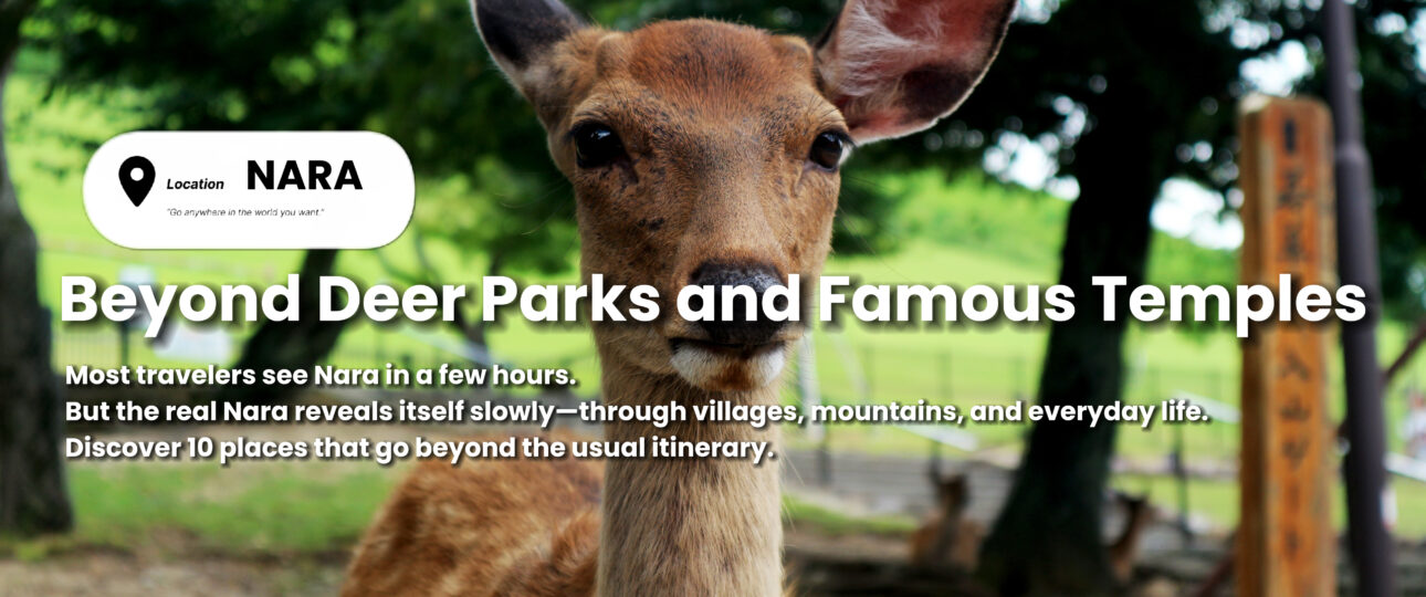 Top 10 Places That Reveal the Real Nara Top 10 Places That Reveal the Real Nara