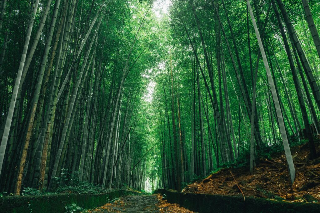 Bridges, Cliffs, and Sea: Yamaguchi’s Most Unexpected Landscapes Bridges, Cliffs, and Sea: Yamaguchi’s Most Unexpected Landscapes