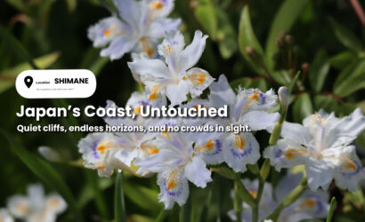 Exploring Shimane’s Hidden Coastlines and Quiet Landscapes
