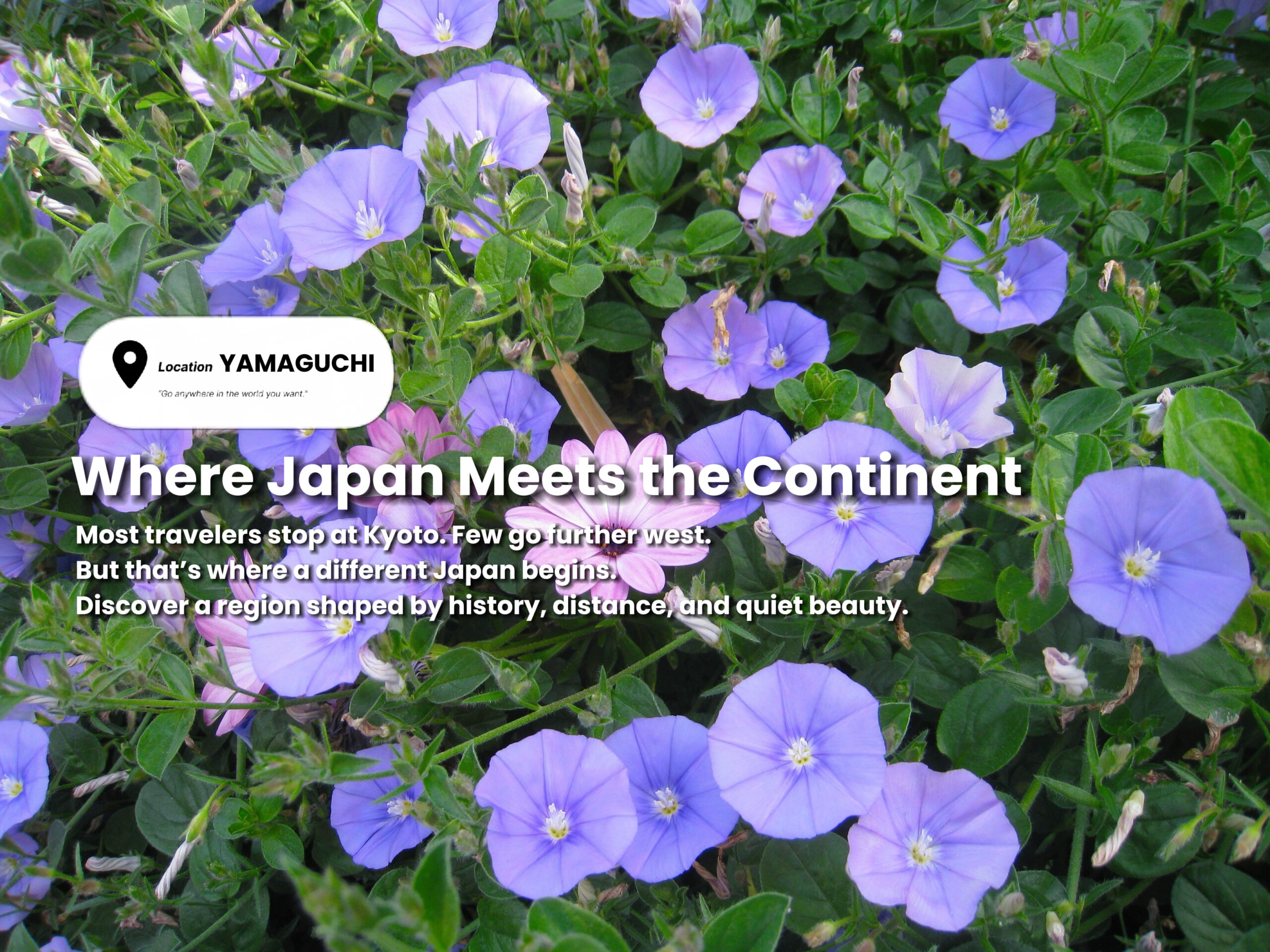 Where Japan Meets the Continent: Discovering Yamaguchi