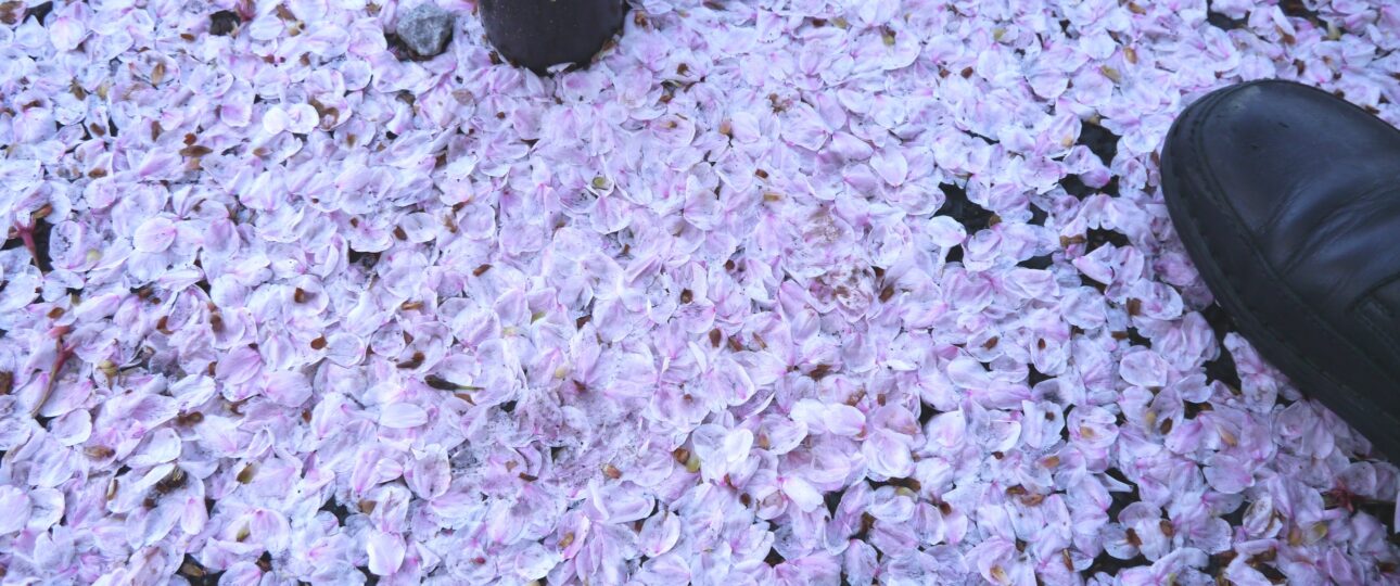 The Spirit of Sakamoto Ryoma: Kochi and the Making of Modern Japan