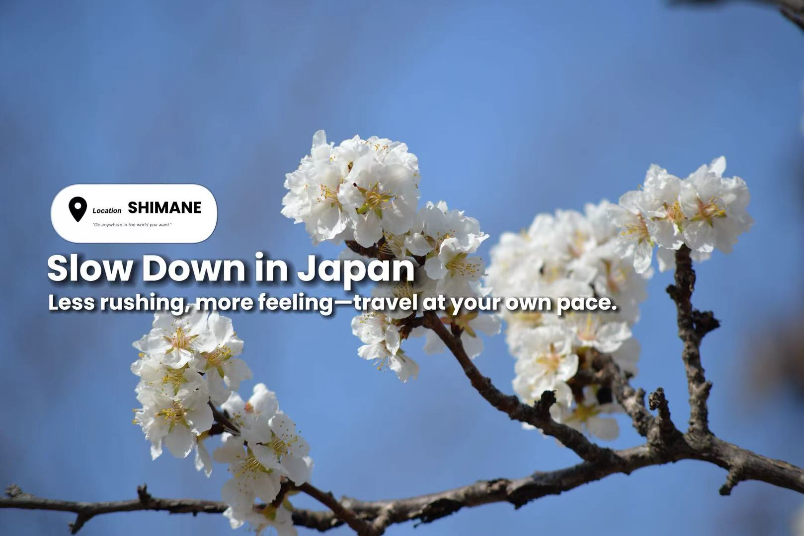 Slow Travel in Shimane: A Different Way to Experience Japan