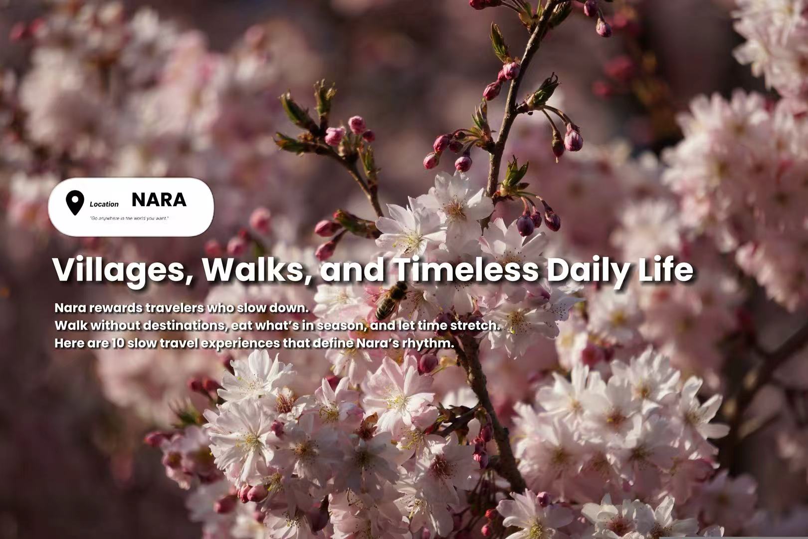 Top 10 Slow Travel Experiences in Nara Prefecture