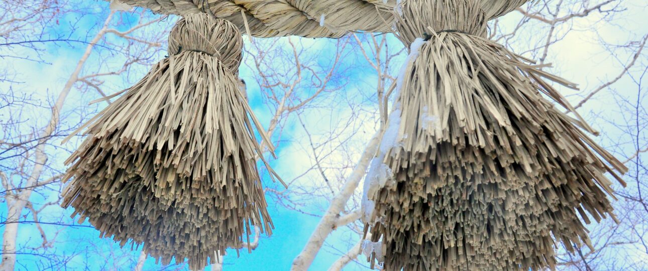 10 Best Things to Do in Kochi: Japan’s Most Underrated Coastal Escape 10 Best Things to Do in Kochi: Japan’s Most Underrated Coastal Escape