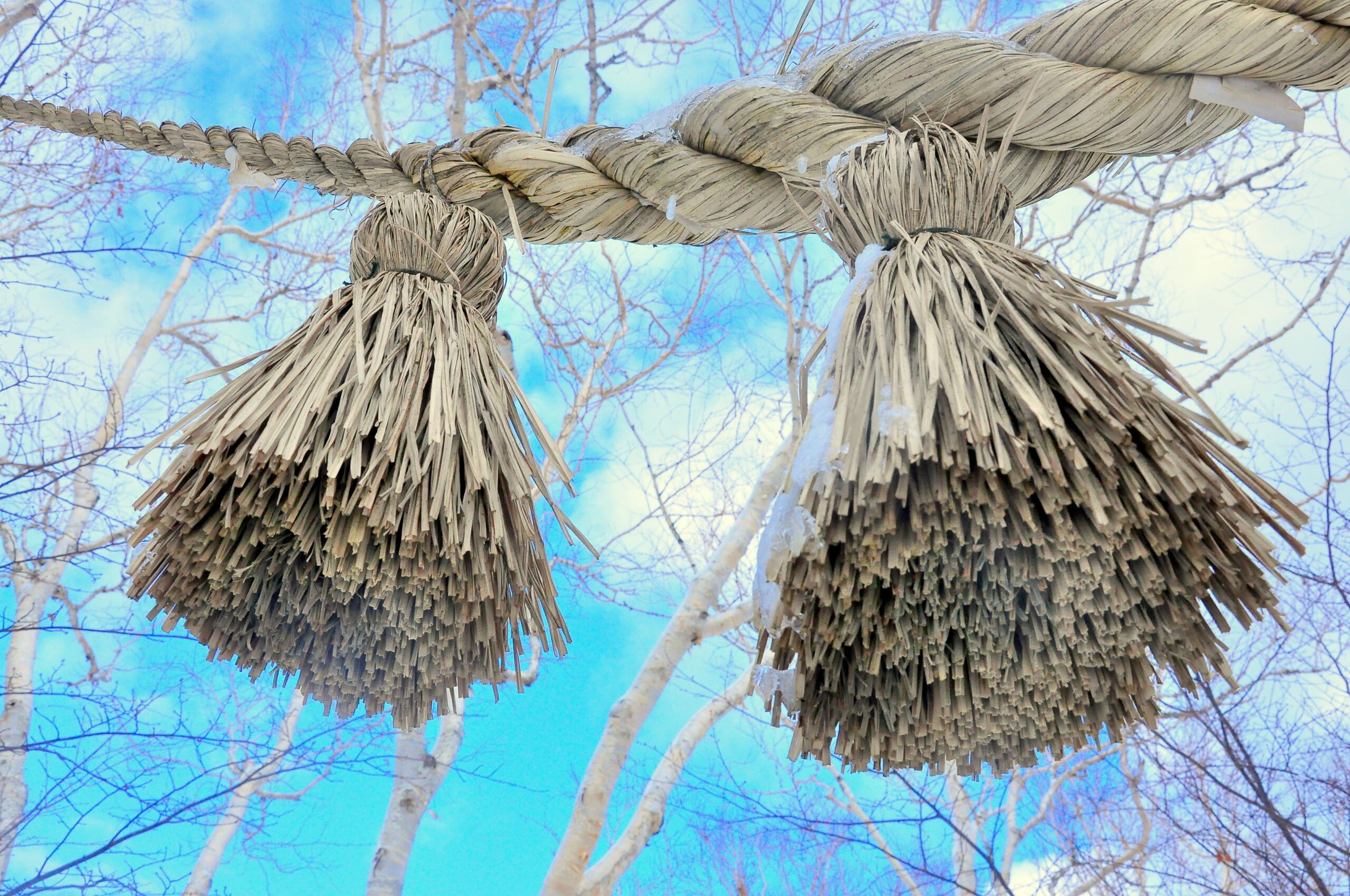 10 Best Things to Do in Kochi: Japan’s Most Underrated Coastal Escape