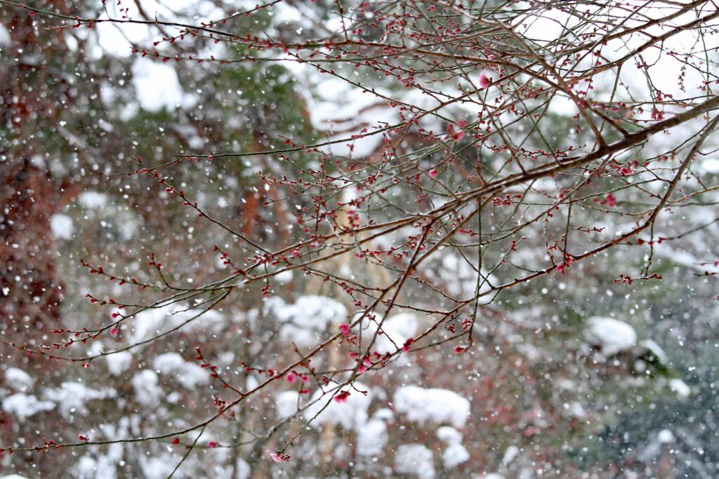 Top 10 Reasons Hiroshima Is One of Japan’s Most Complete Destinations