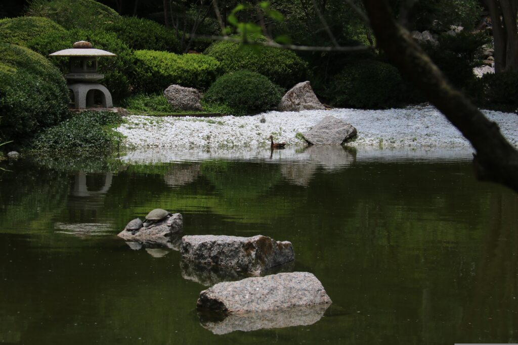 Top 10 Spiritual Landscapes in Nara Top 10 Spiritual Landscapes in Nara
