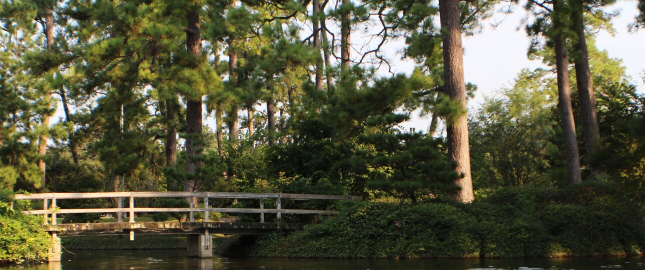 Ritsurin Garden and the Aesthetics of Space: A Slower Side of Kagawa Prefecture