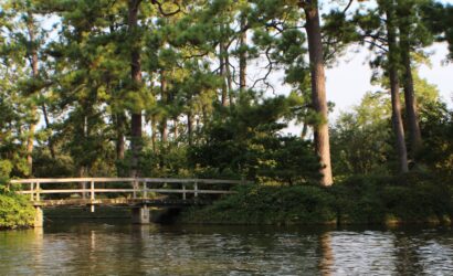 Ritsurin Garden and the Aesthetics of Space: A Slower Side of Kagawa Prefecture