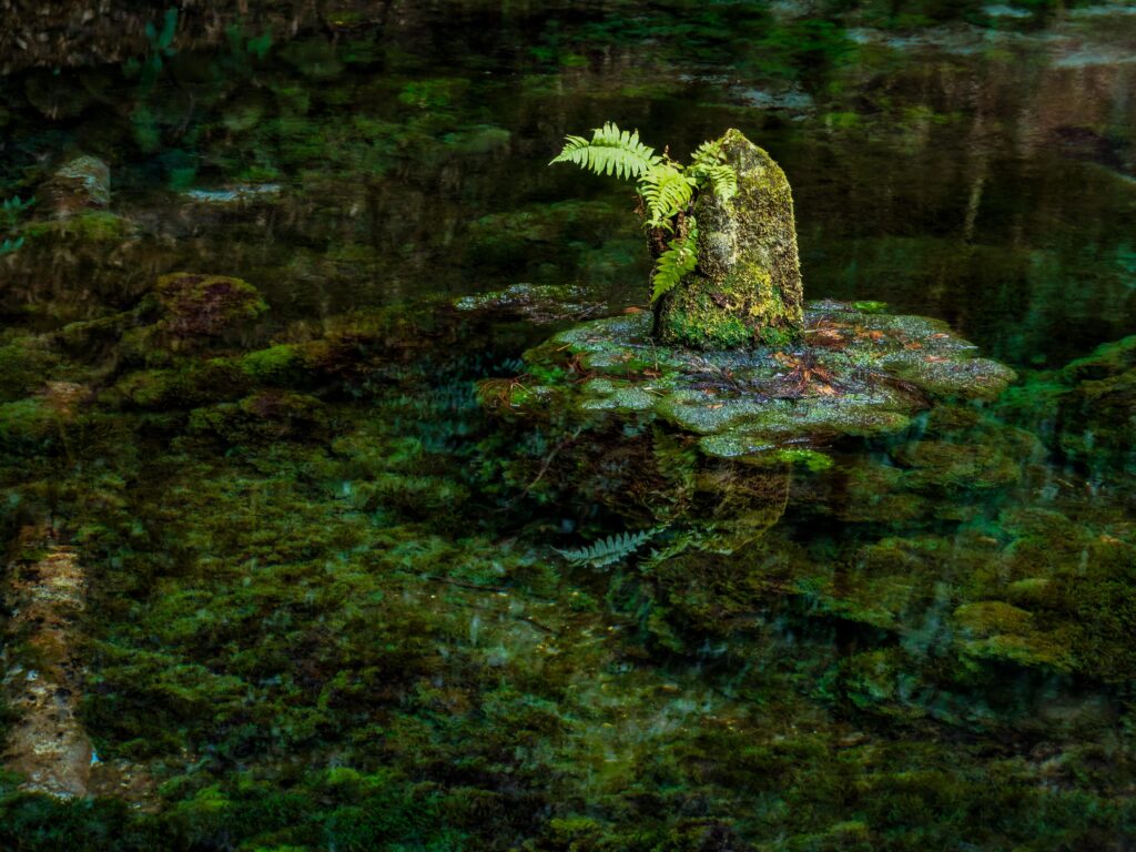 Top 10 Cultural Surprises in Japan’s Least Populated Prefecture