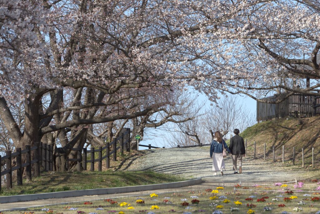 Top 10 Slow Travel Experiences in Coastal Tottori