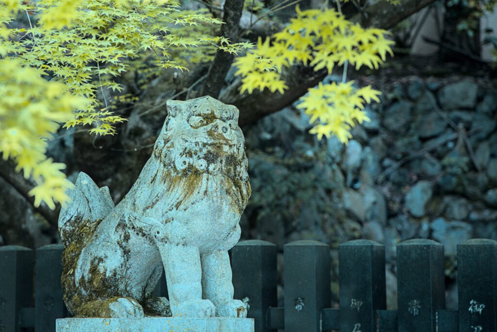 Top 10 Reasons Tottori Might Be Japan’s Boldest Travel Choice