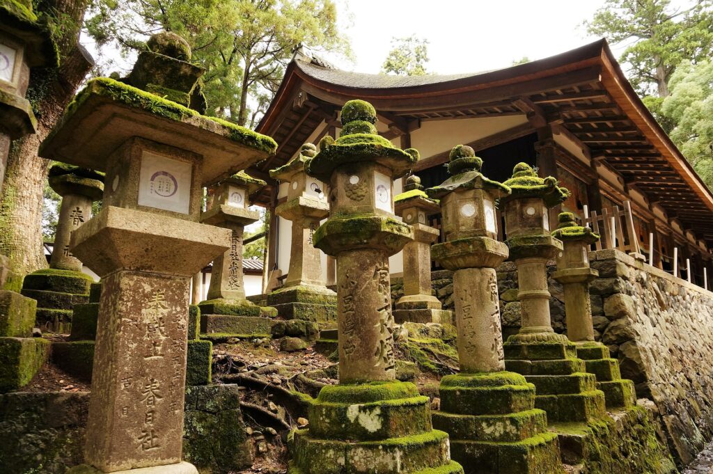 7-Day Japan Cultural immersion tour : Japan Bonsai & Cultural Immersion Tour 7-Day Japan Cultural immersion tour : Japan Bonsai & Cultural Immersion Tour