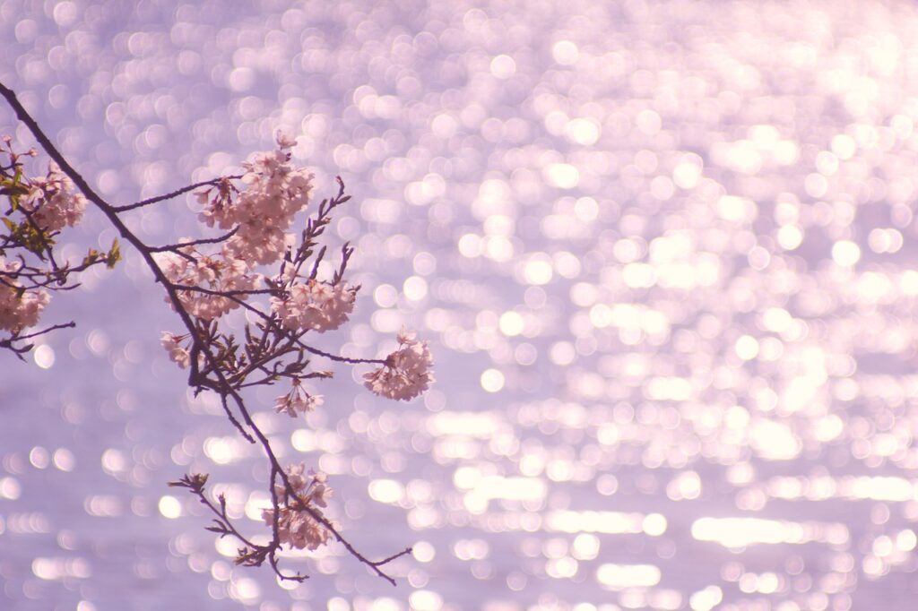 Top 10 Slow Travel Experiences in Nara Prefecture