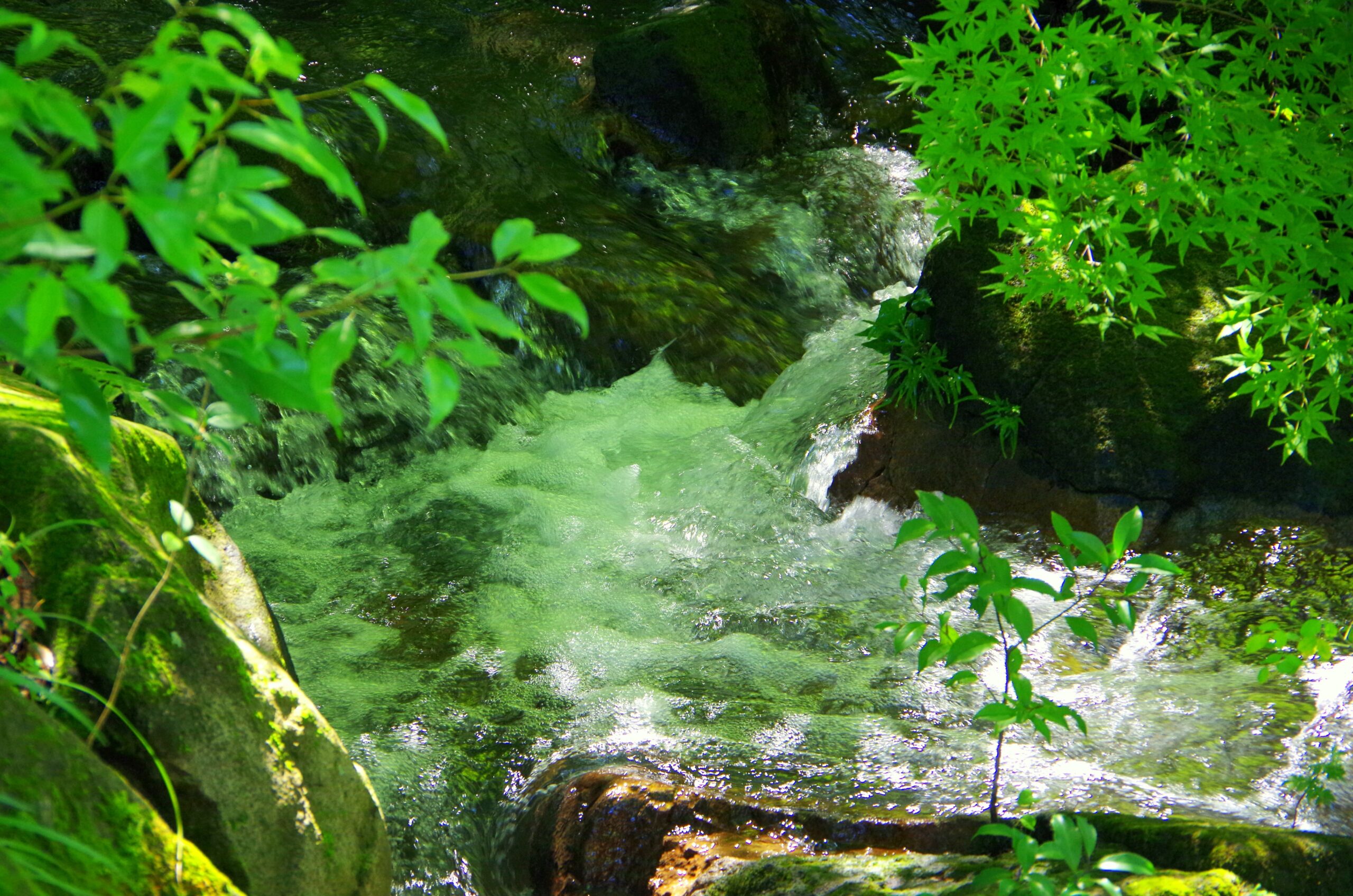 Gunma Onsen Travel Guide: Best Seasons, Access, and What to Know Before You Go