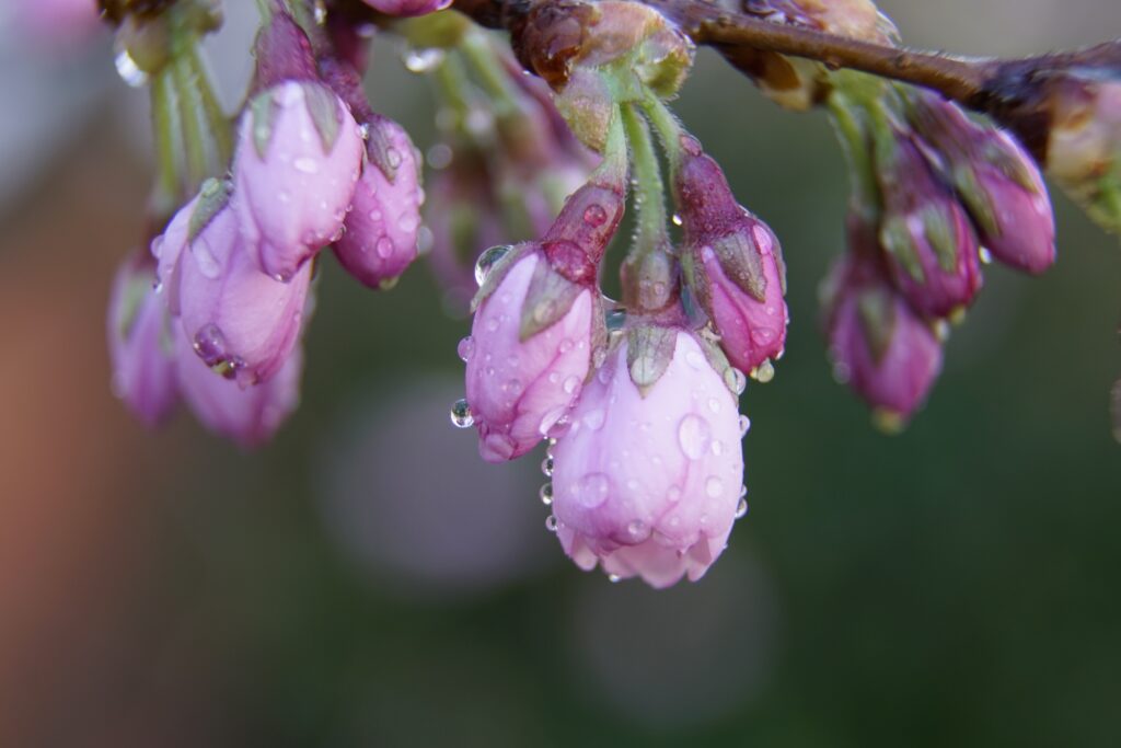Top 10 Lesser-Known Historical Sites in Nara Top 10 Lesser-Known Historical Sites in Nara