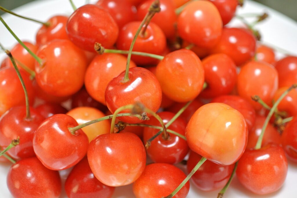 The Indigo Legacy of Tokushima Prefecture: Craft, Color, and the Quiet Art of Aizome The Indigo Legacy of Tokushima Prefecture: Craft, Color, and the Quiet Art of Aizome