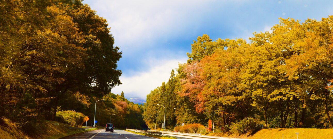 Top 10 Things to Do in Kagawa Prefecture: Art, Food, and Island Escapes