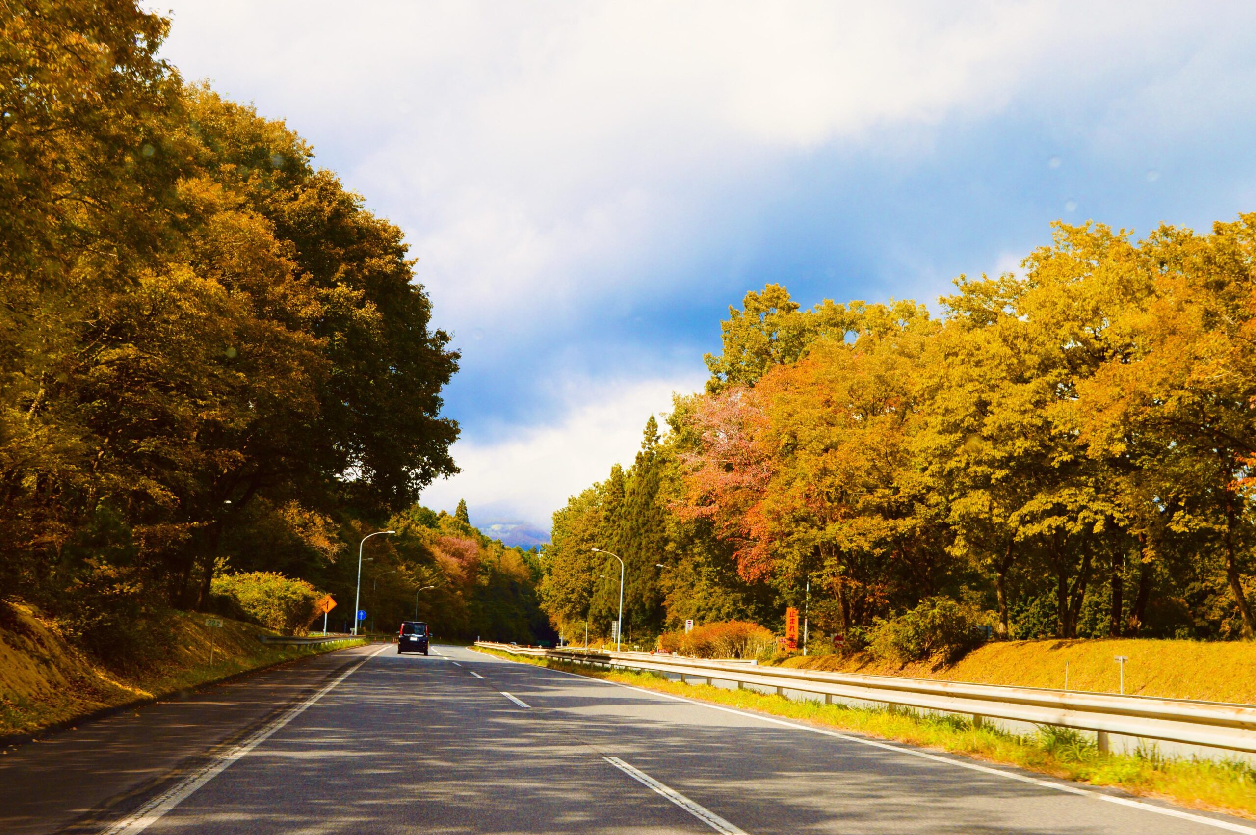 Top 10 Things to Do in Kagawa Prefecture: Art, Food, and Island Escapes