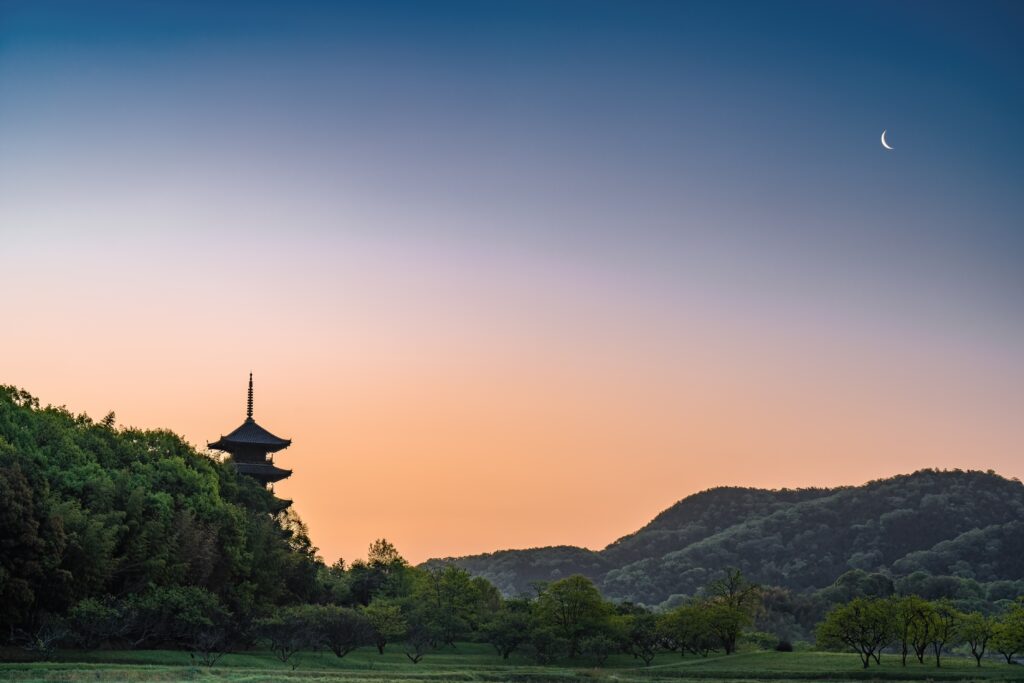 Where Spring Turns Pink: 10 Cherry Blossom Destinations in Kansai