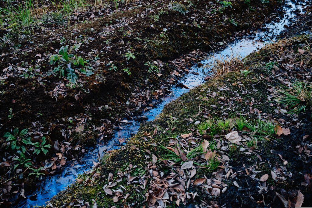 Why Shiga Is One of Japan’s Most Livable Prefectures