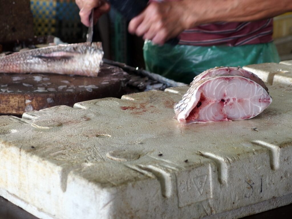 Slow Travel in Kochi: Finding Space in Japan’s Last Frontier Slow Travel in Kochi: Finding Space in Japan’s Last Frontier