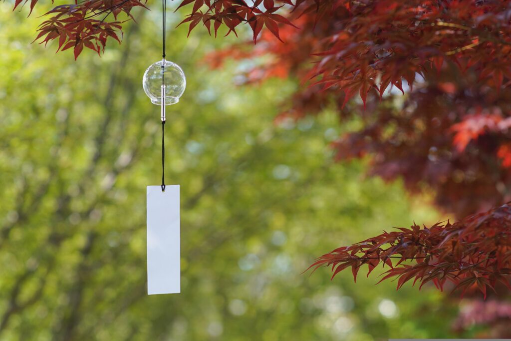 Kyoto isn’t only temples and shrines