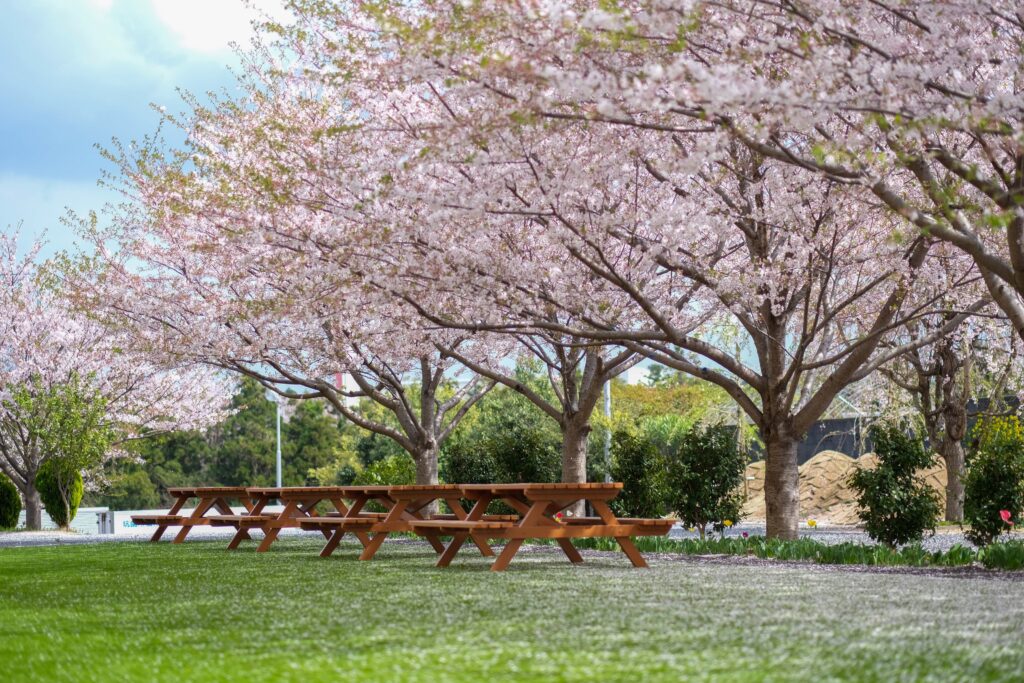 Top 10 Reasons Tottori Might Be Japan’s Boldest Travel Choice