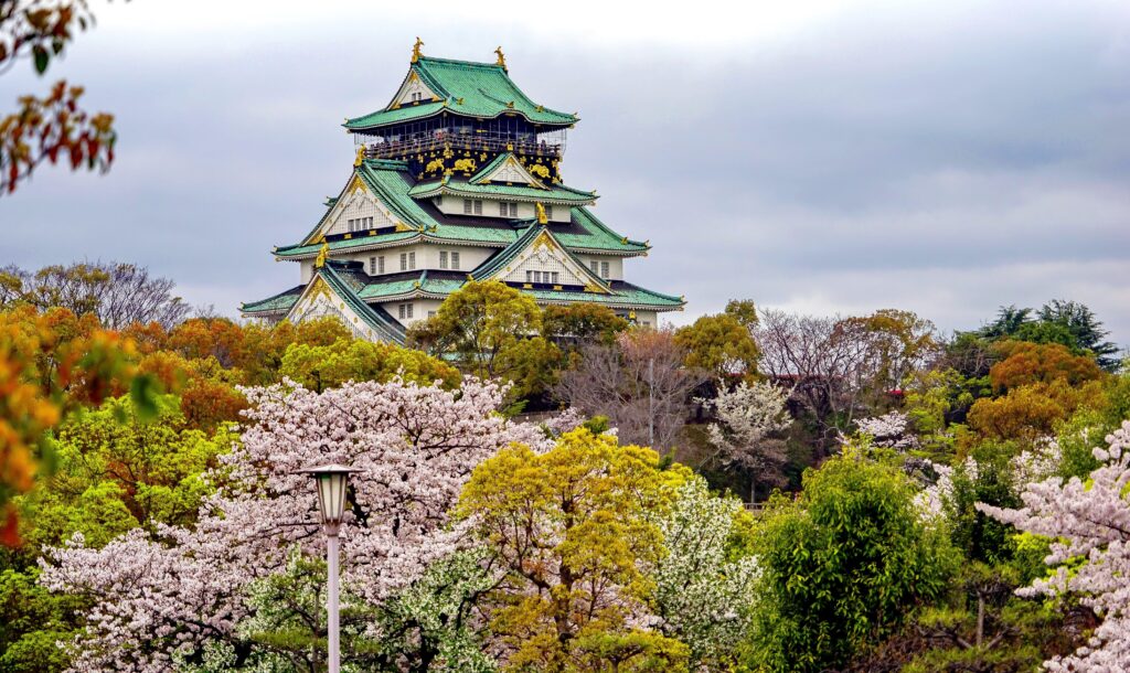 Japan Cherry Blossom Viewing Tour 10-Days