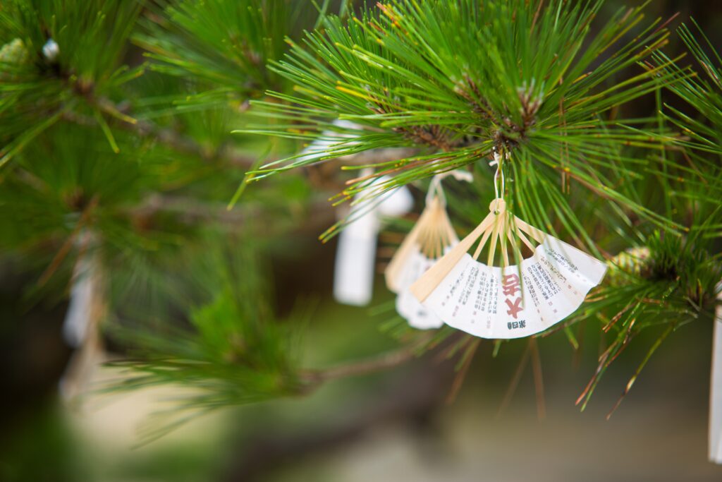 10 Meaningful Experiences in Shimane You Shouldn’t Miss