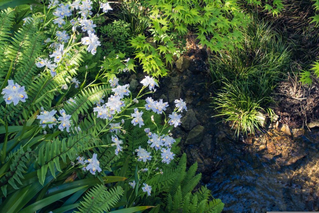 Slow Travel in Shimane: A Different Way to Experience Japan