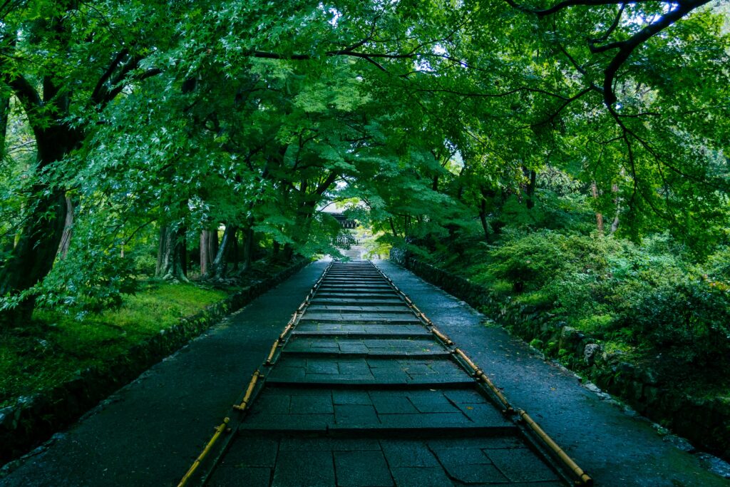 Top 10 Art & Architecture Experiences in Okayama Prefecture