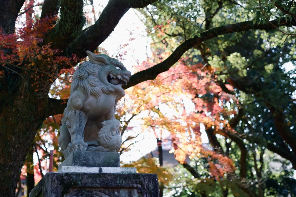 Top 10 Island Experiences in Hiroshima Prefecture Top 10 Island Experiences in Hiroshima Prefecture