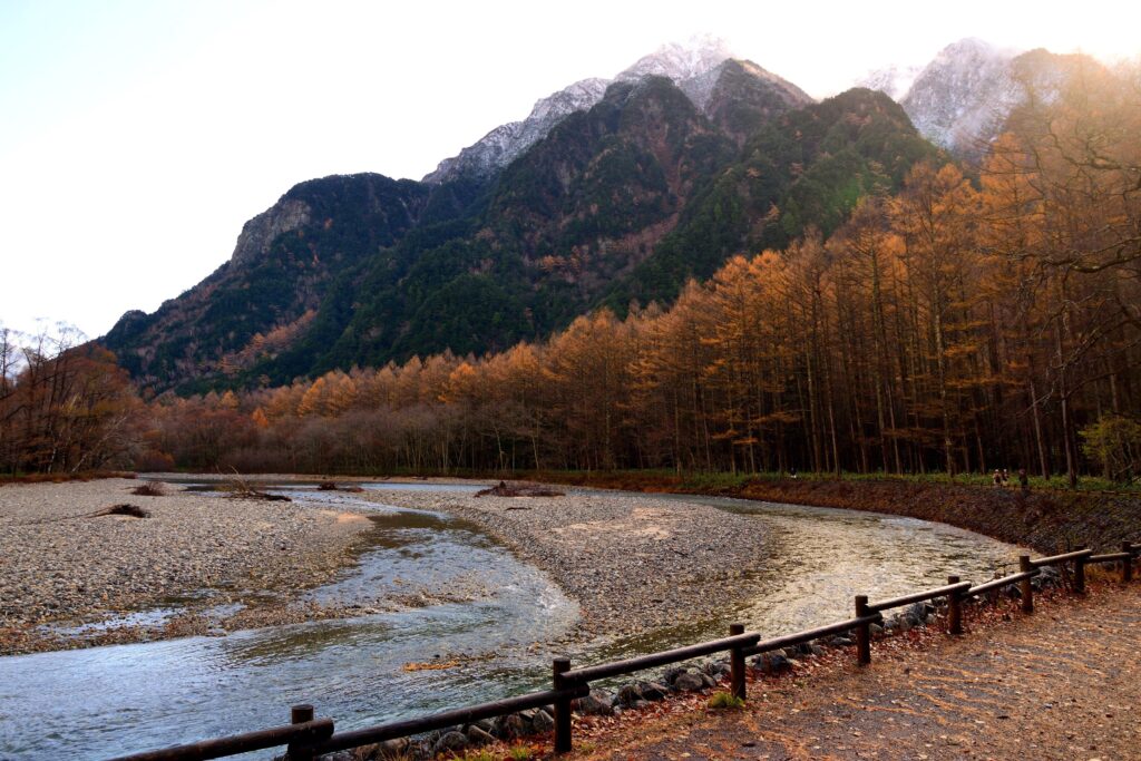 Where Spring Turns Pink: 10 Cherry Blossom Destinations in Kansai