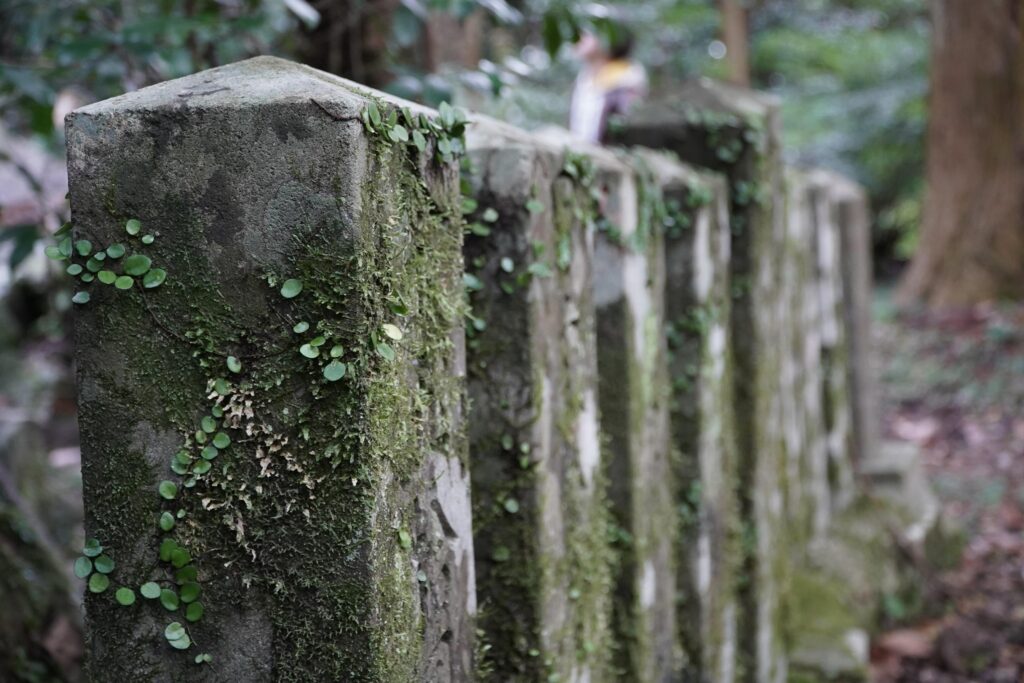 Top 10 Scenic Routes in Hiroshima Prefecture