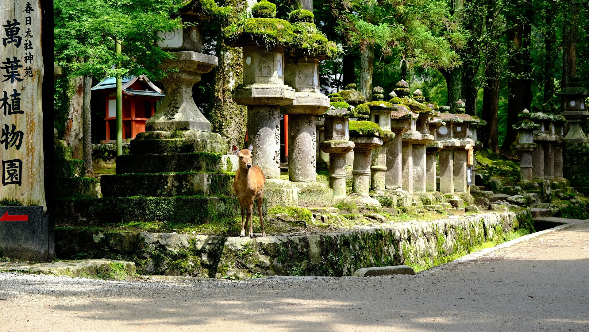 Discover Osaka: Japan’s Kitchen, Cultural Heart, and Urban Playground Discover Osaka: Japan’s Kitchen, Cultural Heart, and Urban Playground