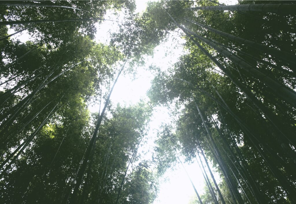 Kyoto Beyond the City Center: Rural Landscapes and Forgotten Routes