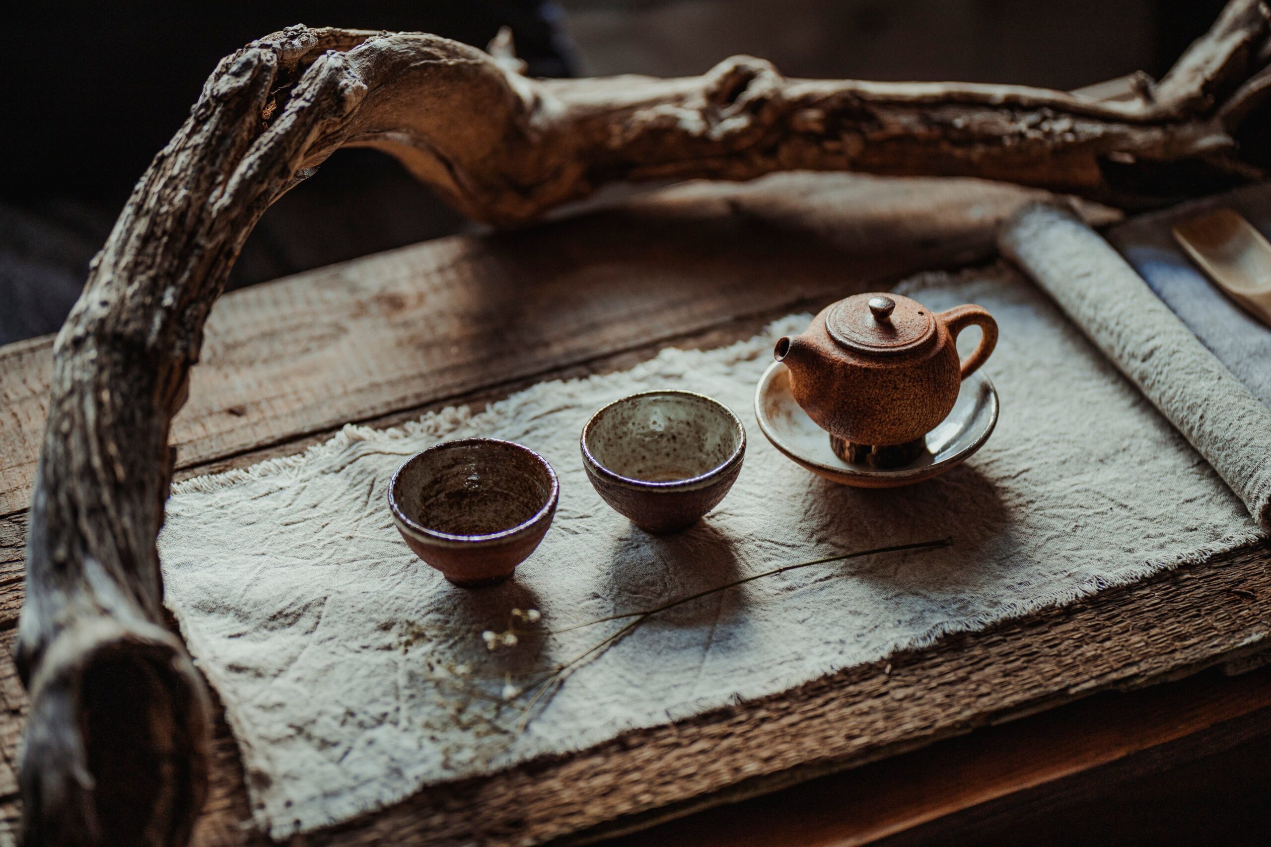 7-Day Japan Cultural immersion tour : Japan Bonsai & Cultural Immersion Tour 7-Day Japan Cultural immersion tour : Japan Bonsai & Cultural Immersion Tour