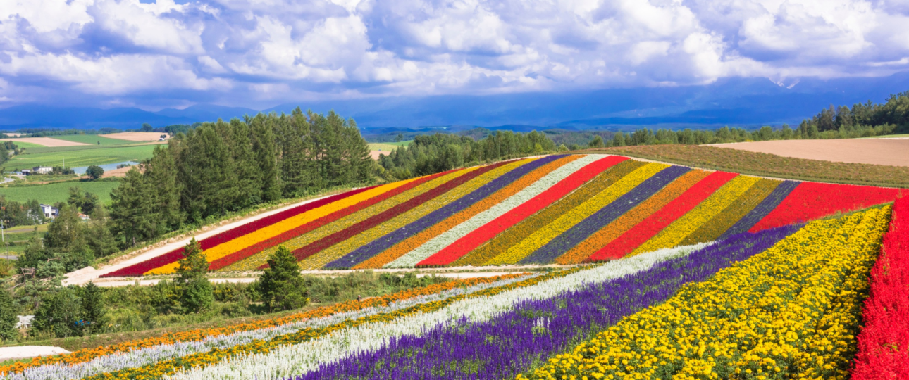 hokkaido in spring