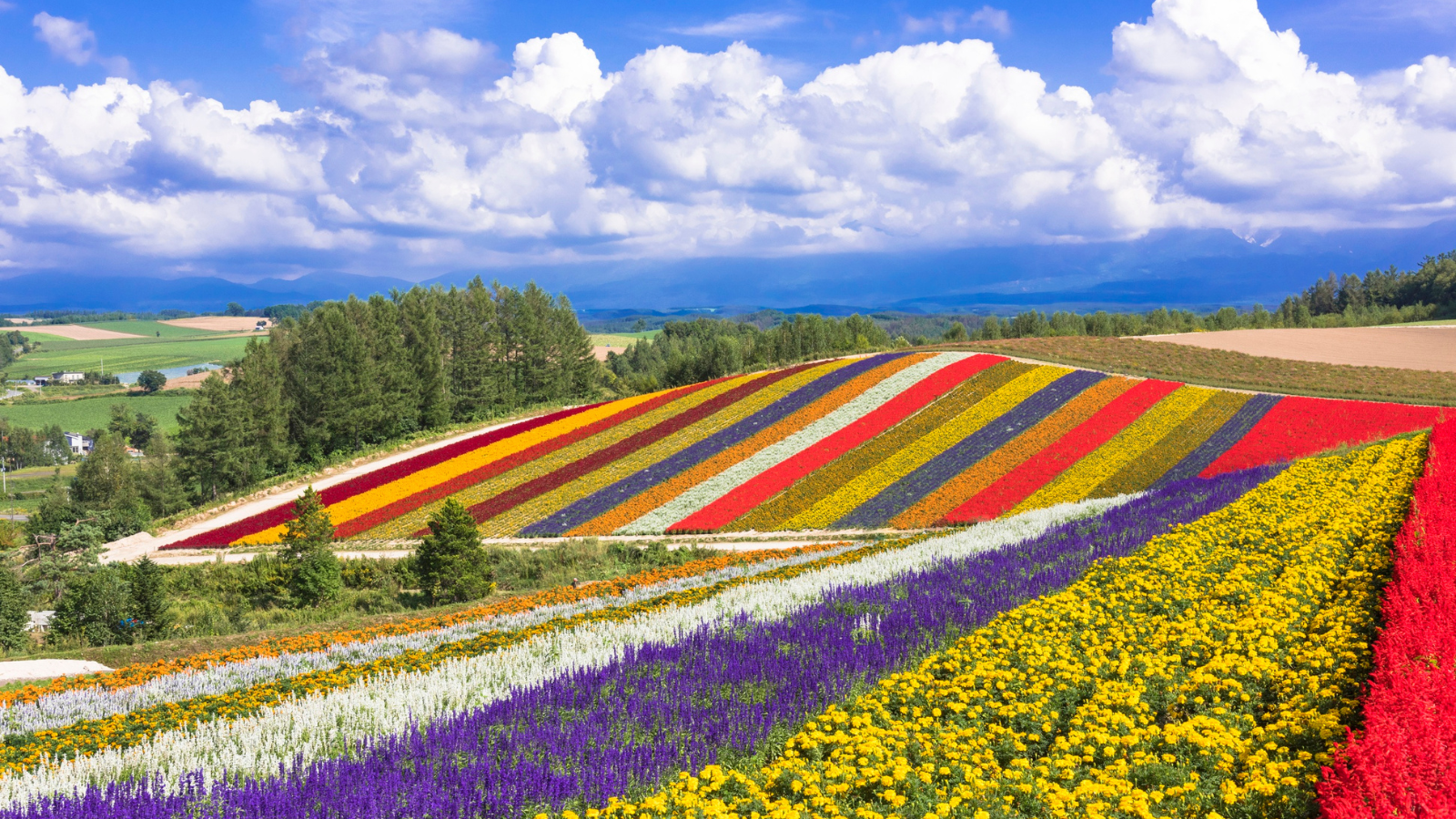 hokkaido in spring