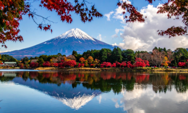 mountain fuji with autumn foliage